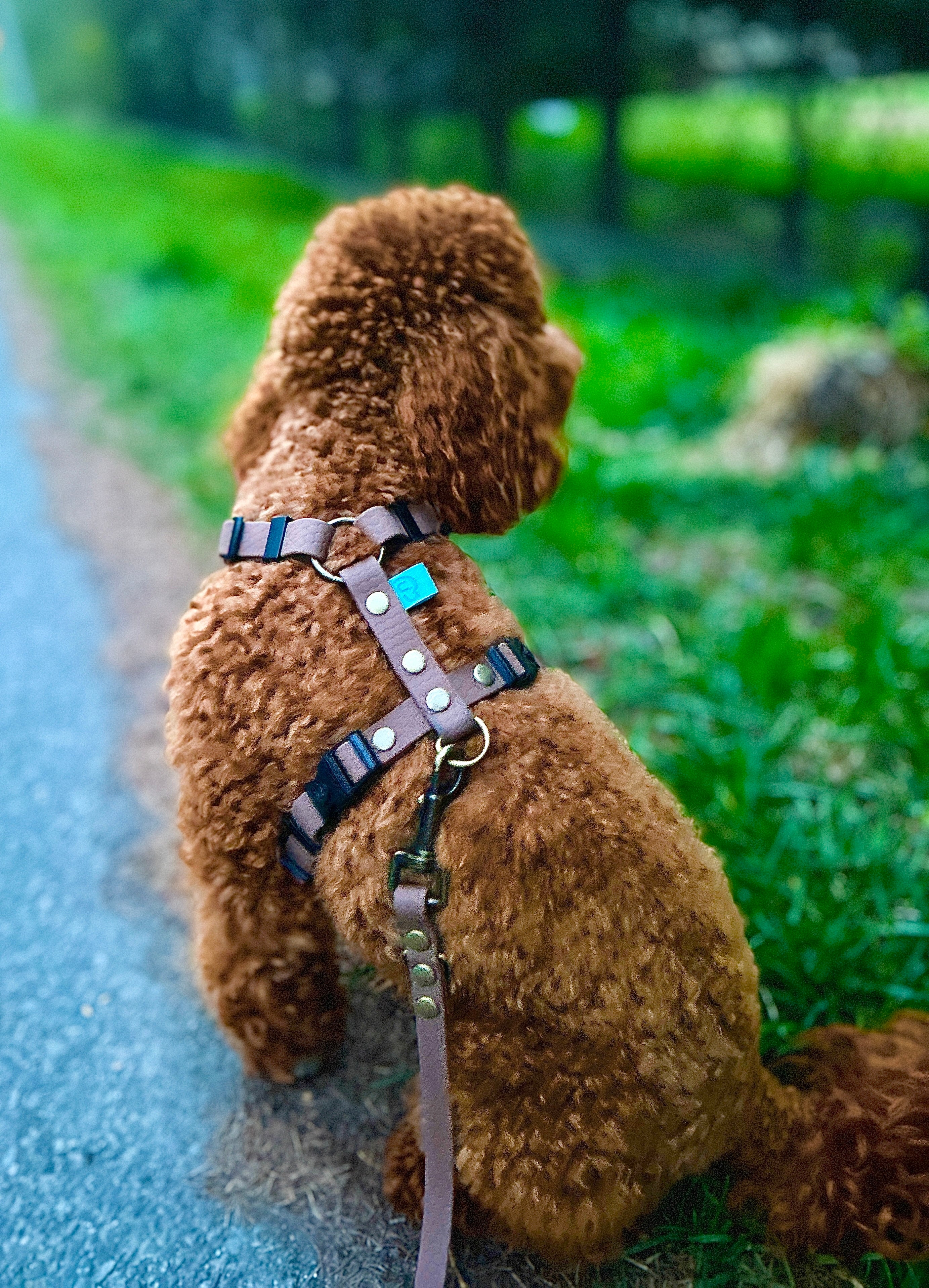 Wodoodporne szelki guard