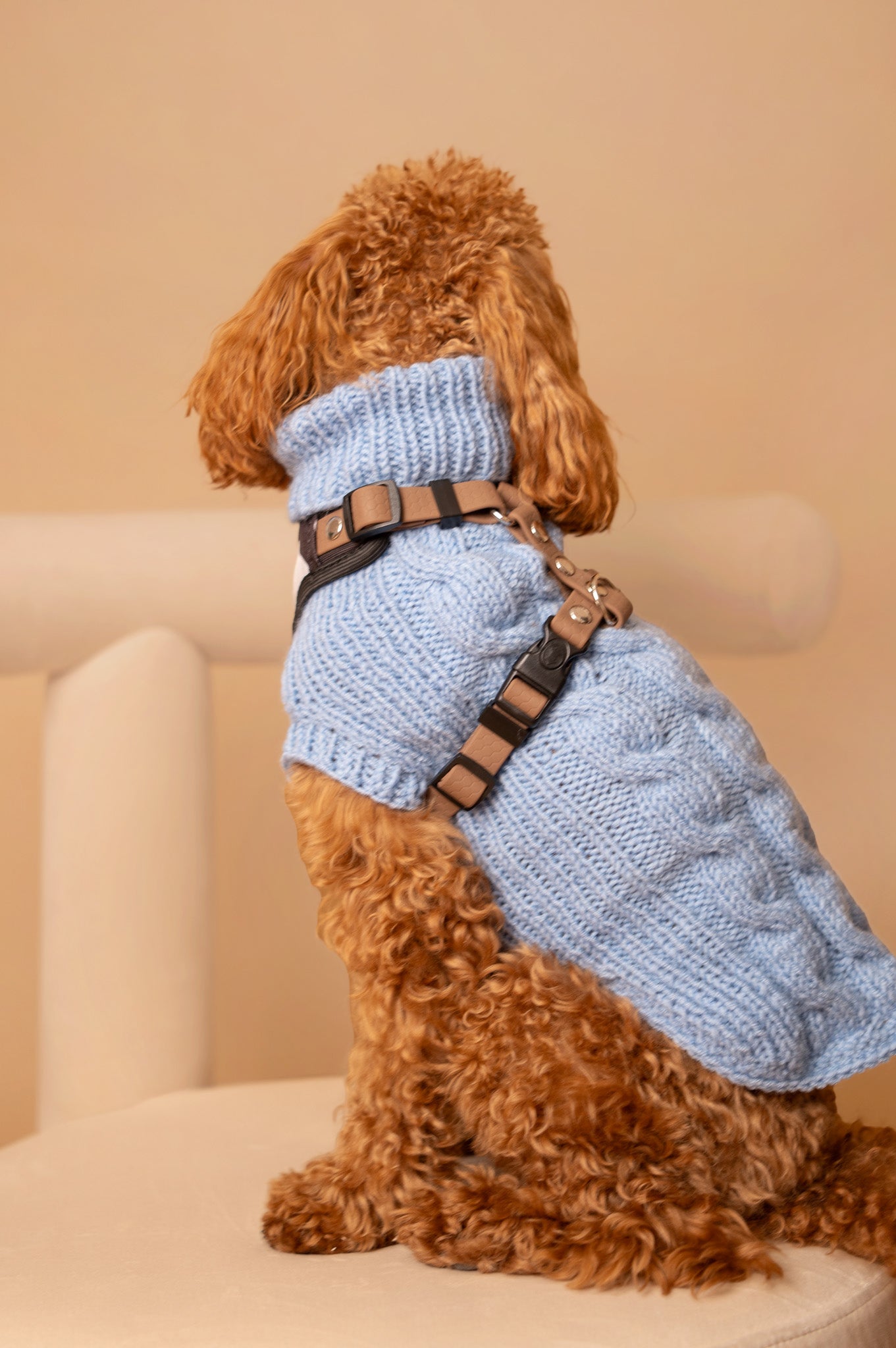 Sweter MERINO Psiumpel, dla Psa i dla Ciebie, spaceruj modnie i wygodnie