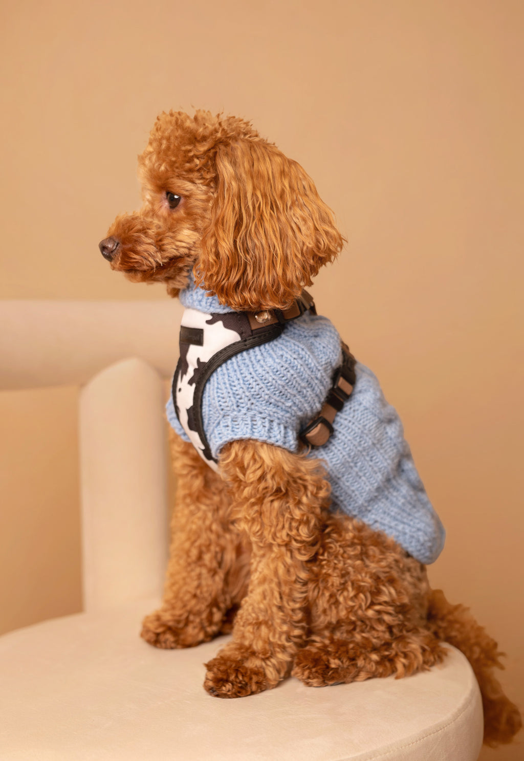 Bezuciskowe szelki guard - WILD Psiumpel, dla Psa i dla Ciebie, spaceruj modnie i wygodnie