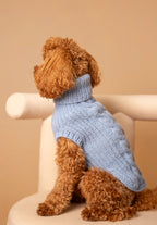 Sweter MERINO Psiumpel, dla Psa i dla Ciebie, spaceruj modnie i wygodnie