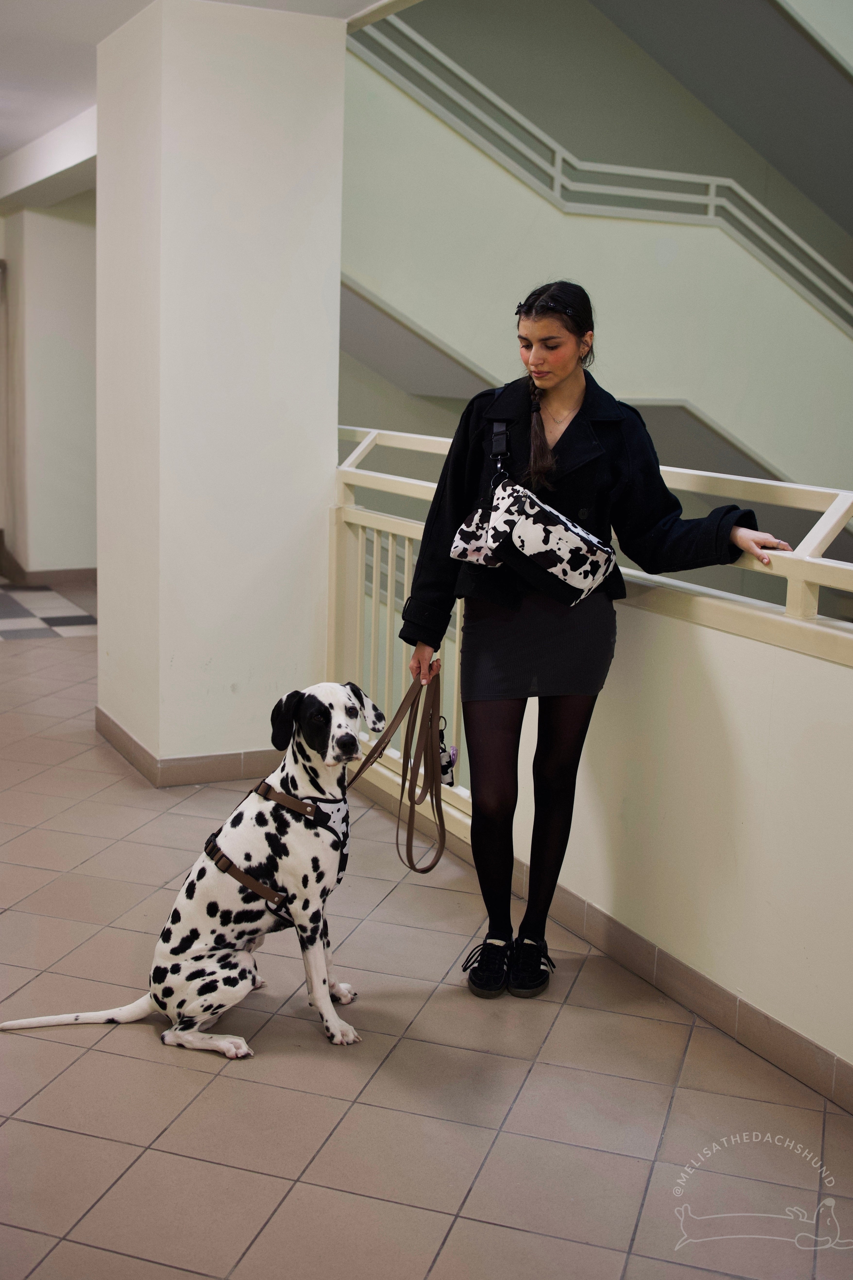 Bezuciskowe szelki guard - WILD Psiumpel, dla Psa i dla Ciebie, spaceruj modnie i wygodnie