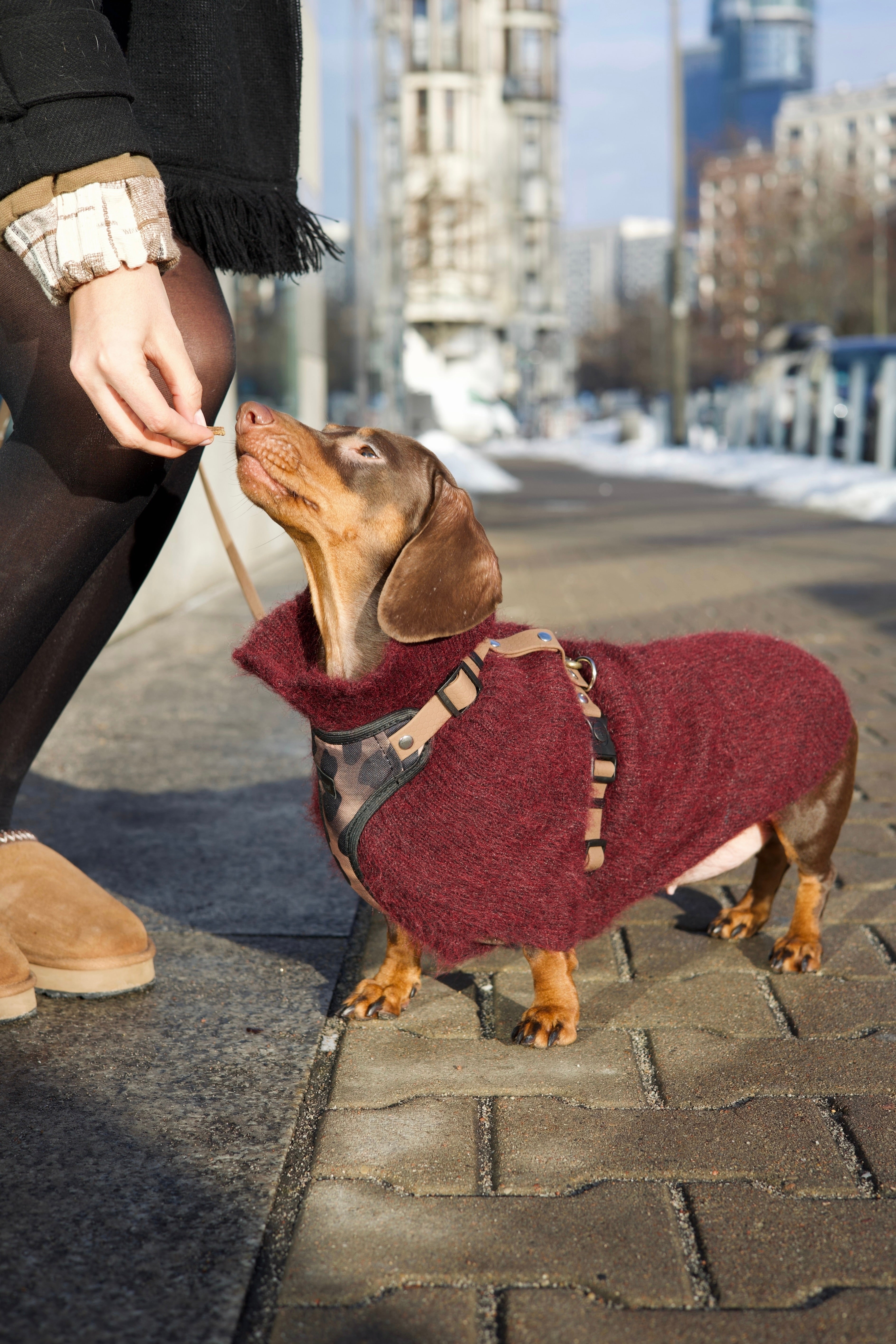 Bezuciskowe szelki guard - WILD Psiumpel, dla Psa i dla Ciebie, spaceruj modnie i wygodnie