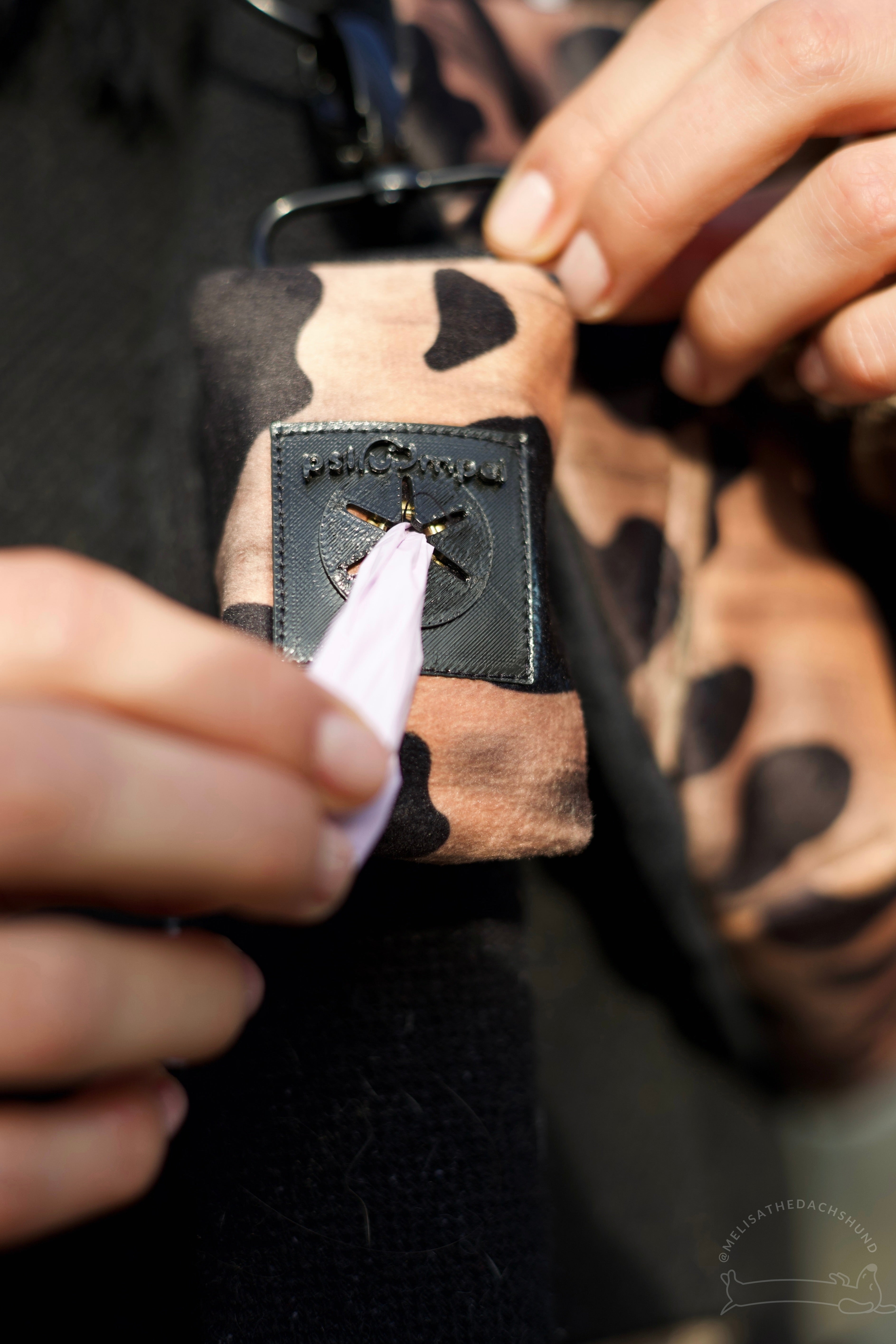 Etui na woreczki WILD Psiumpel, dla Psa i dla Ciebie, spaceruj modnie i wygodnie