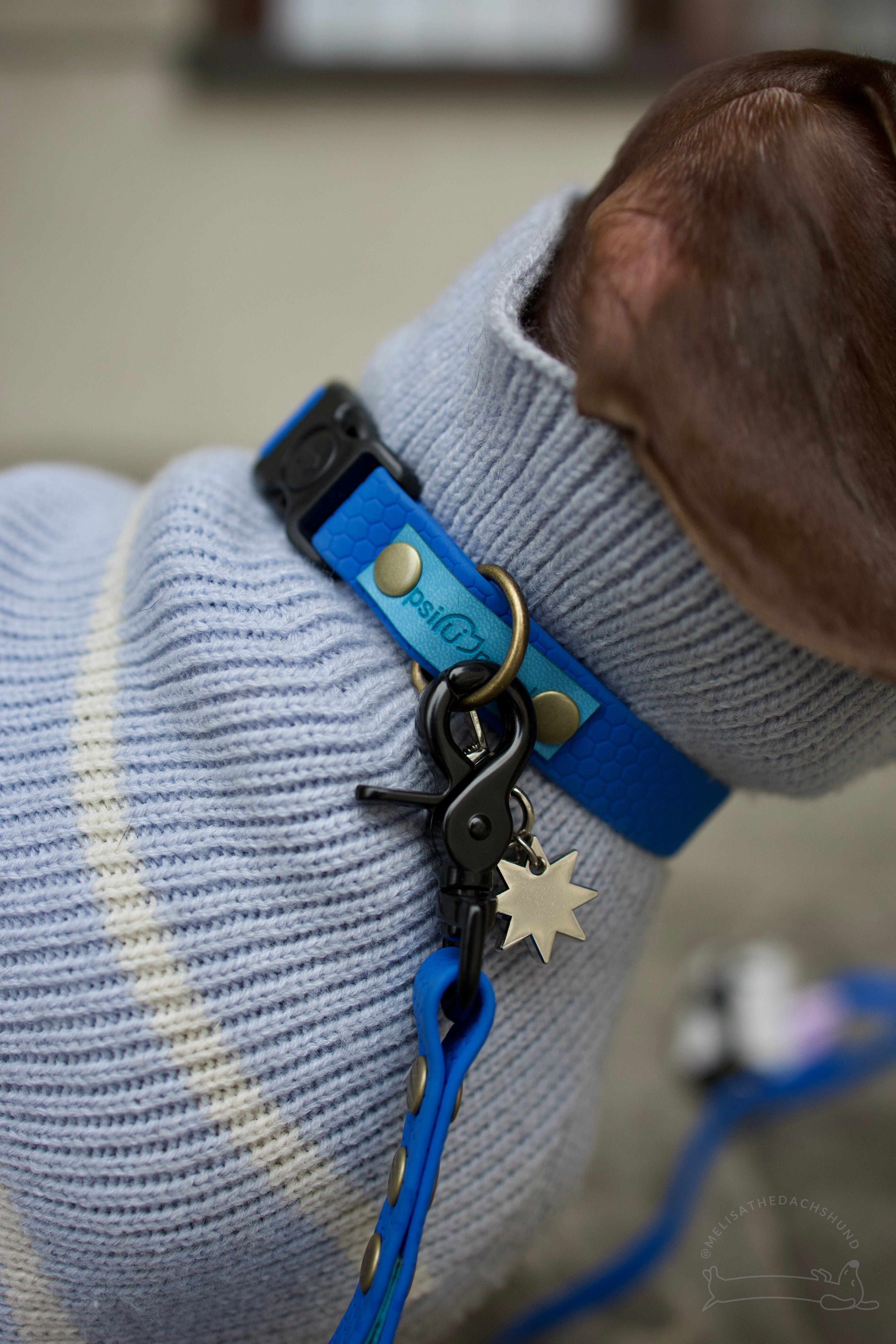 Wodoodporna obroża z klamrą Psiumpel, dla Psa i dla Ciebie, spaceruj modnie i wygodnie