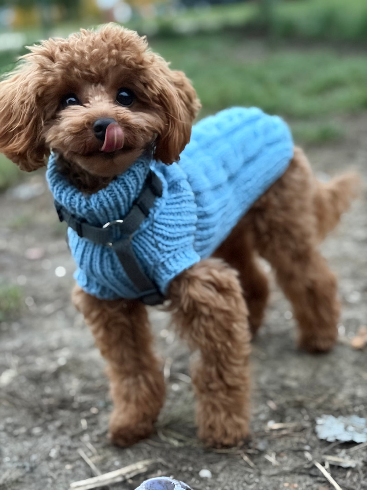 Sweter MERINO