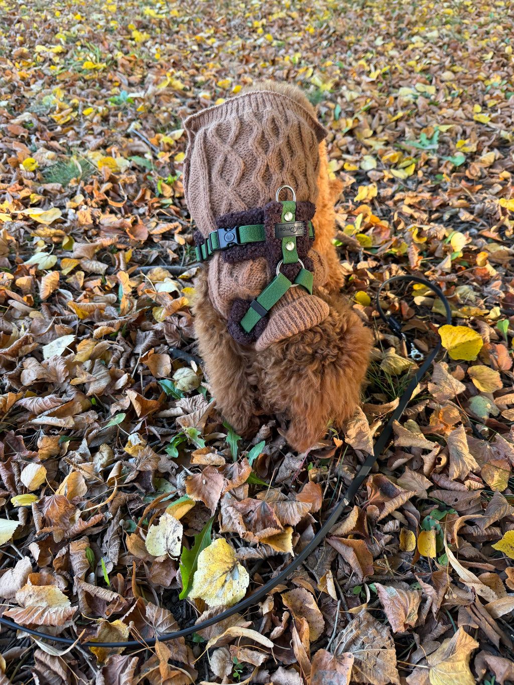 Bezuciskowe szelki guard TEDDY