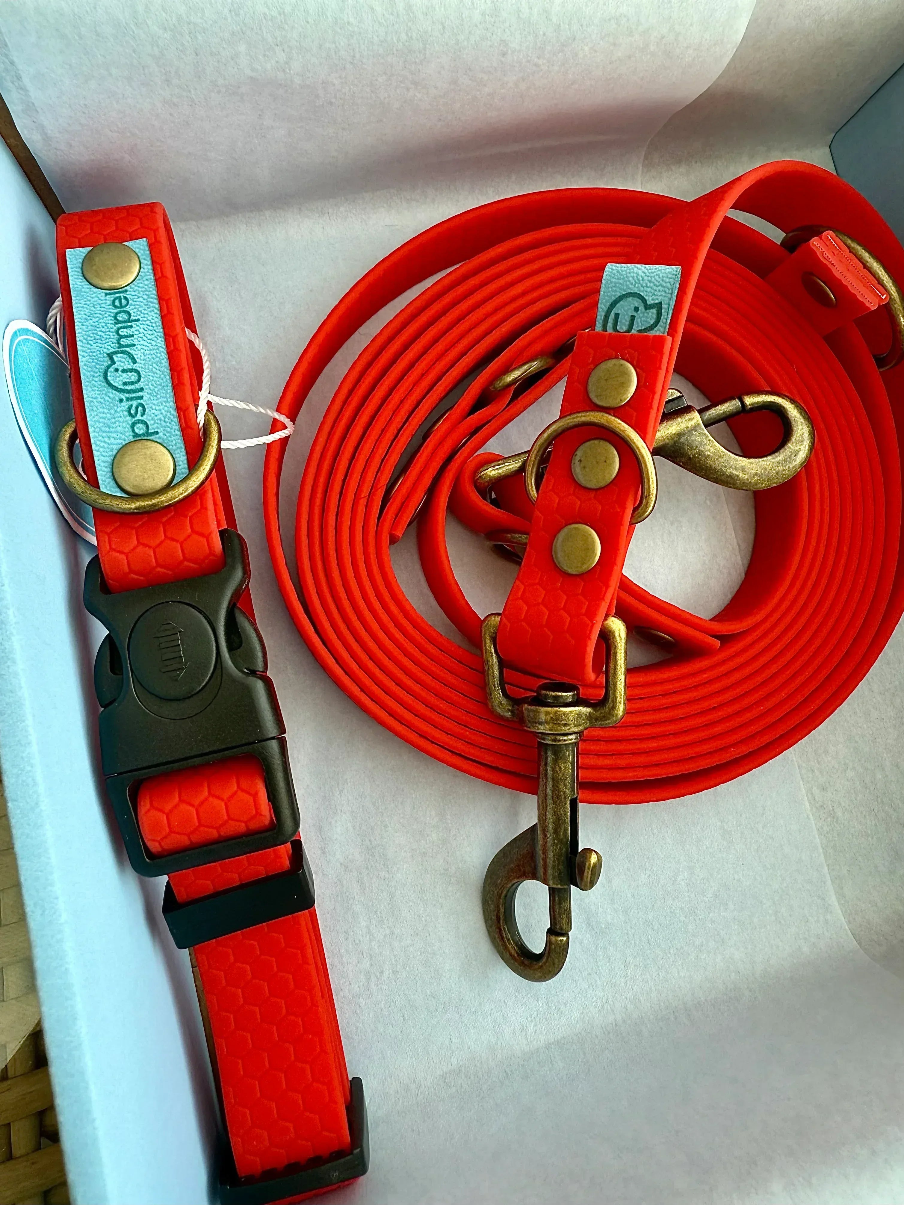 Smycz miejska Psiumpel, dla Psa i dla Ciebie, spaceruj modnie i wygodnie