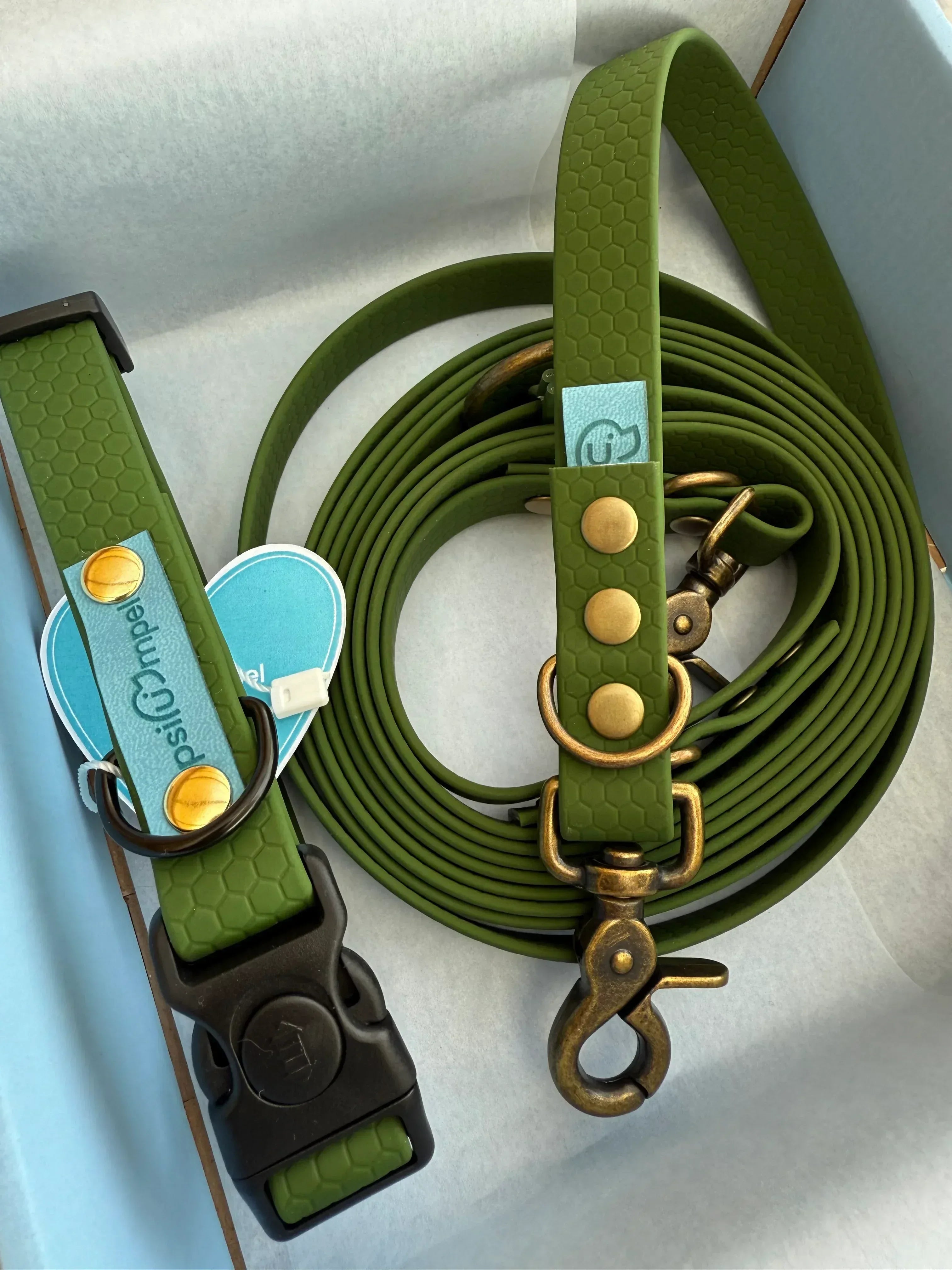 Smycz miejska Psiumpel, dla Psa i dla Ciebie, spaceruj modnie i wygodnie