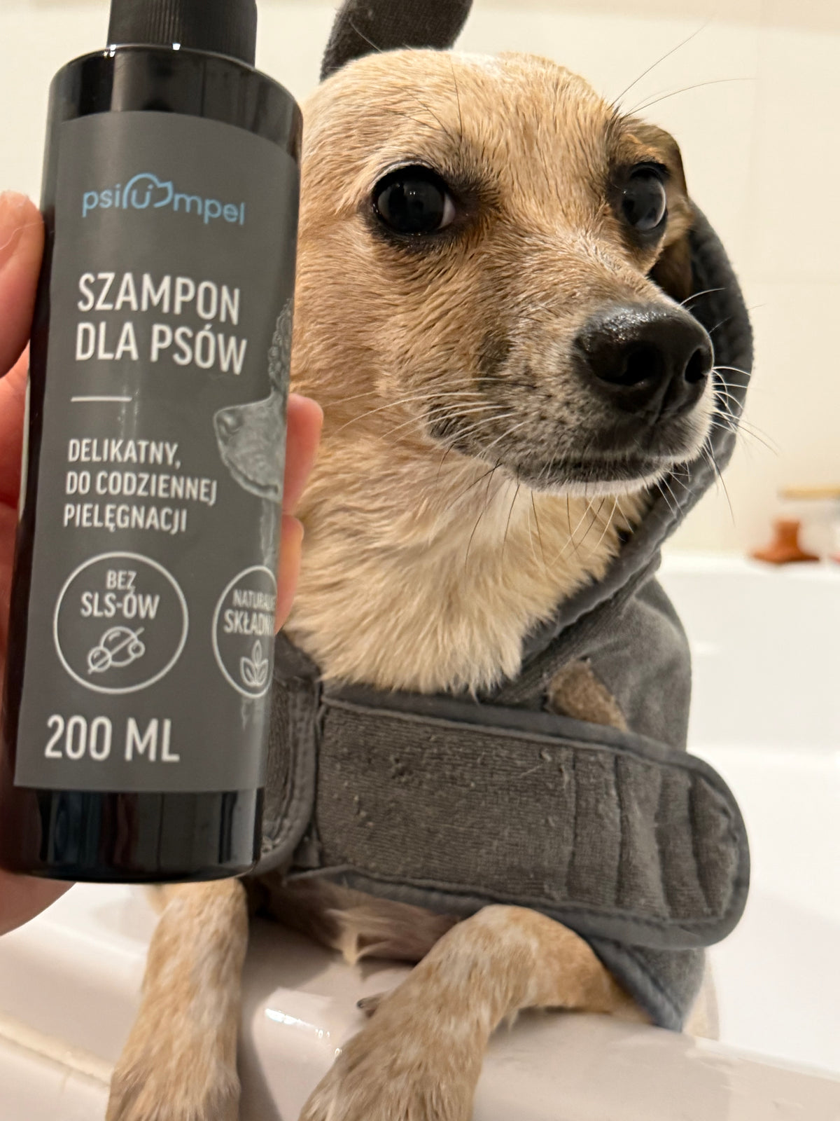 Szampon dla psów