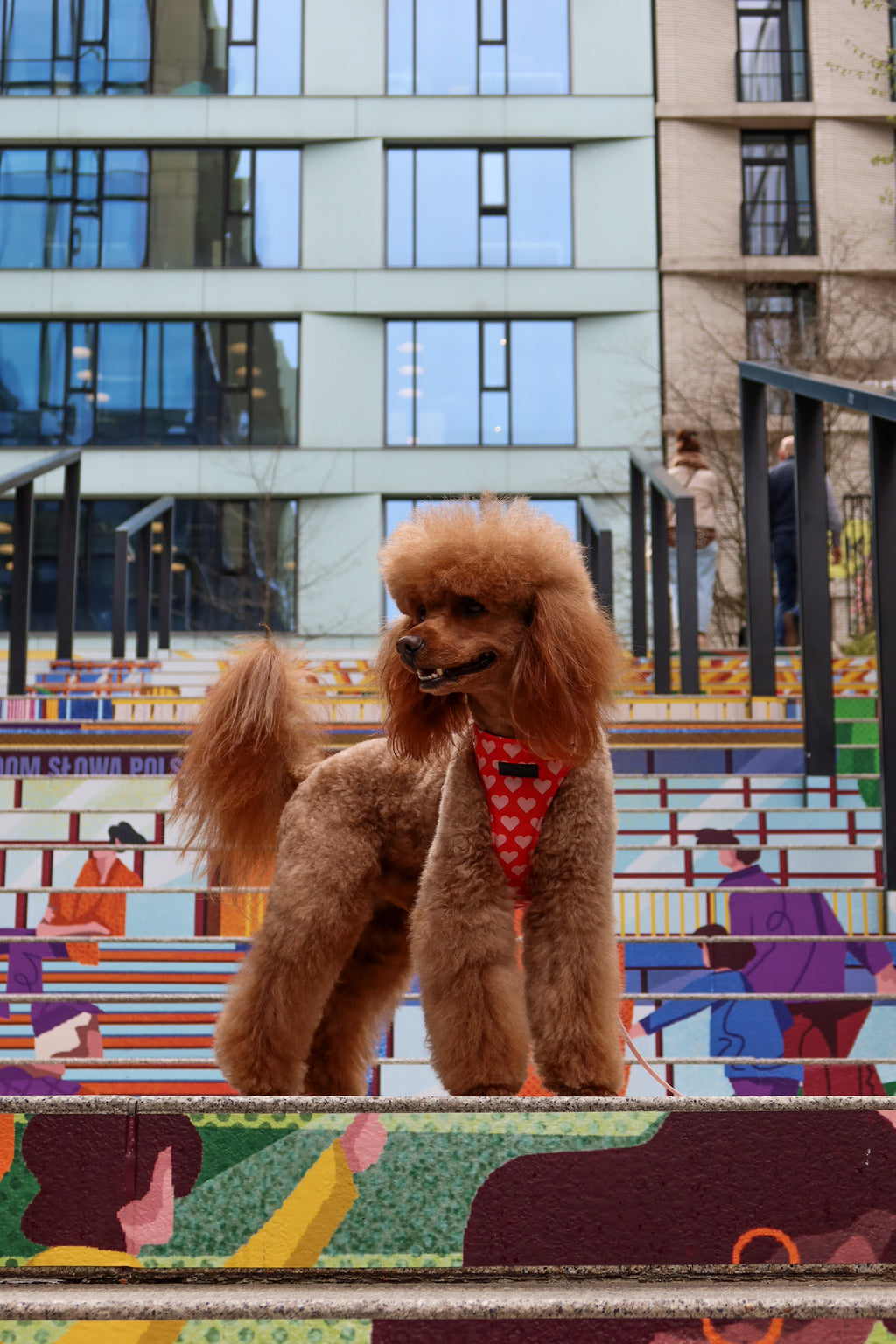 Bezuciskowe szelki guard - HEARTS