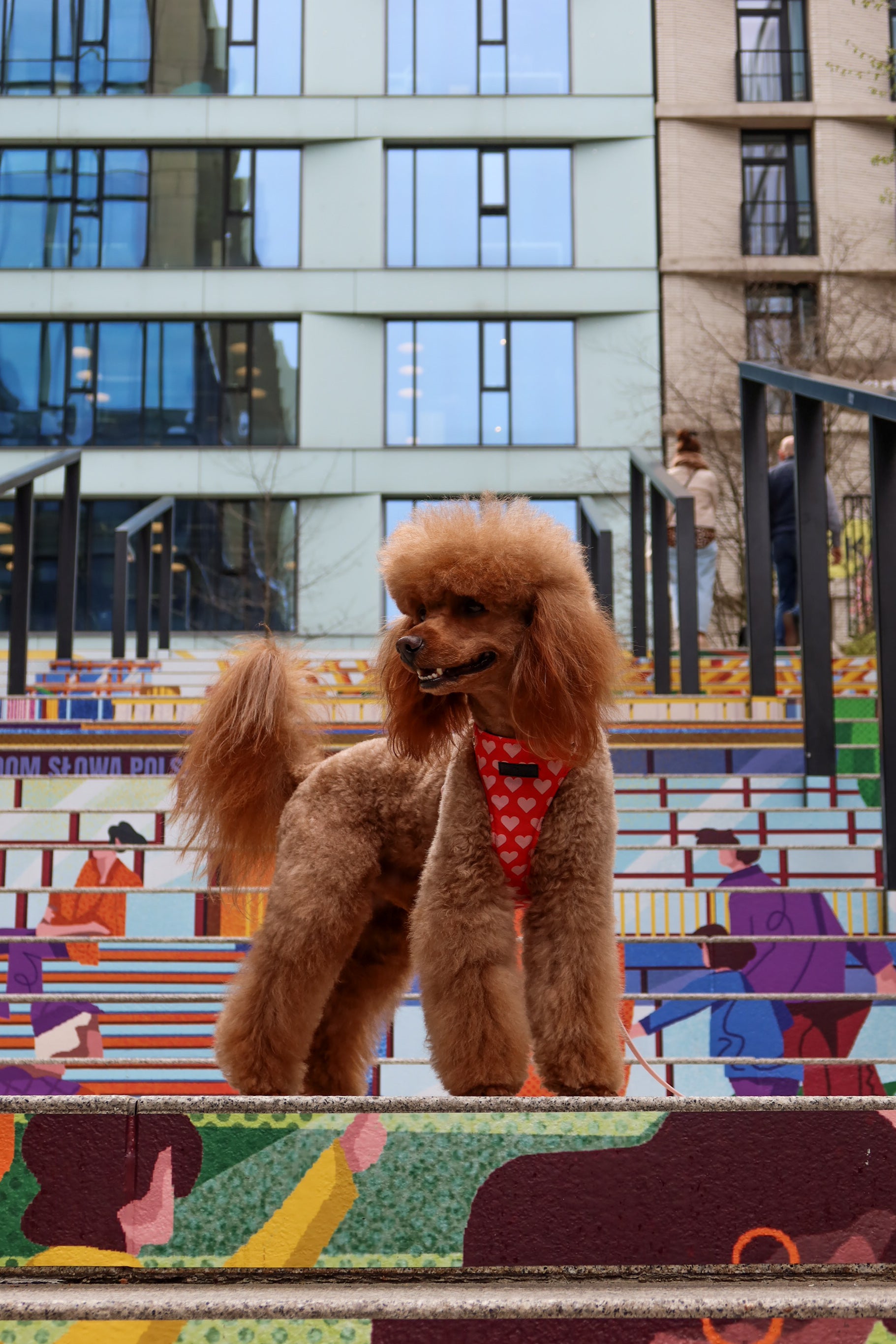 Bezuciskowe szelki guard - HEARTS