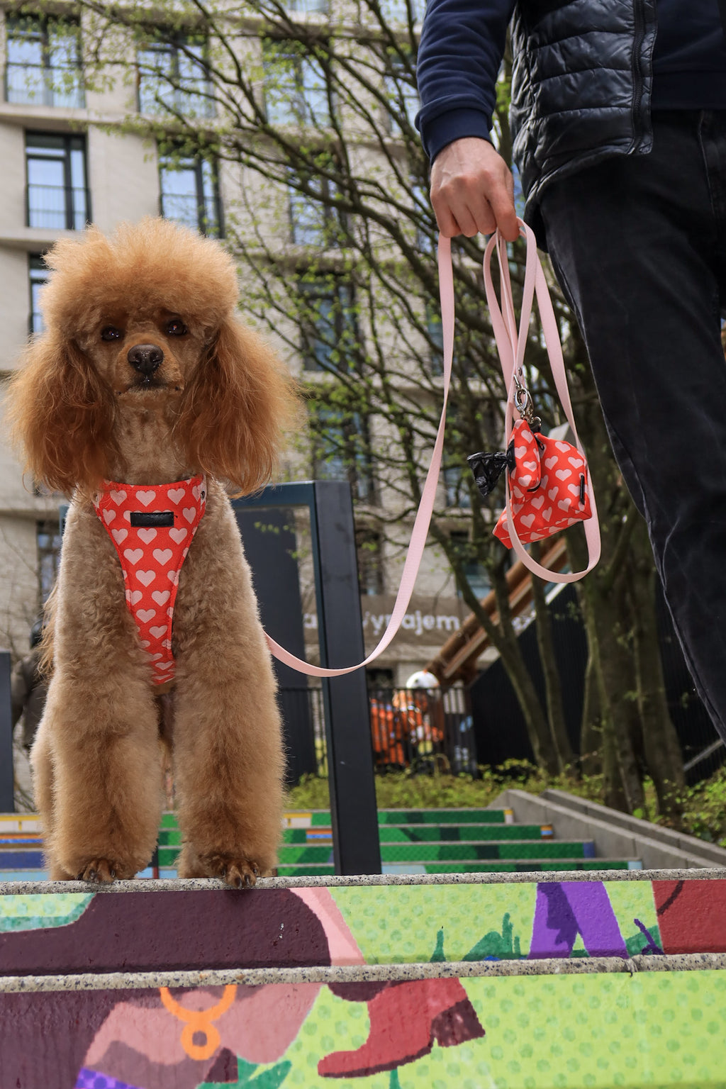 Bezuciskowe szelki guard - HEARTS