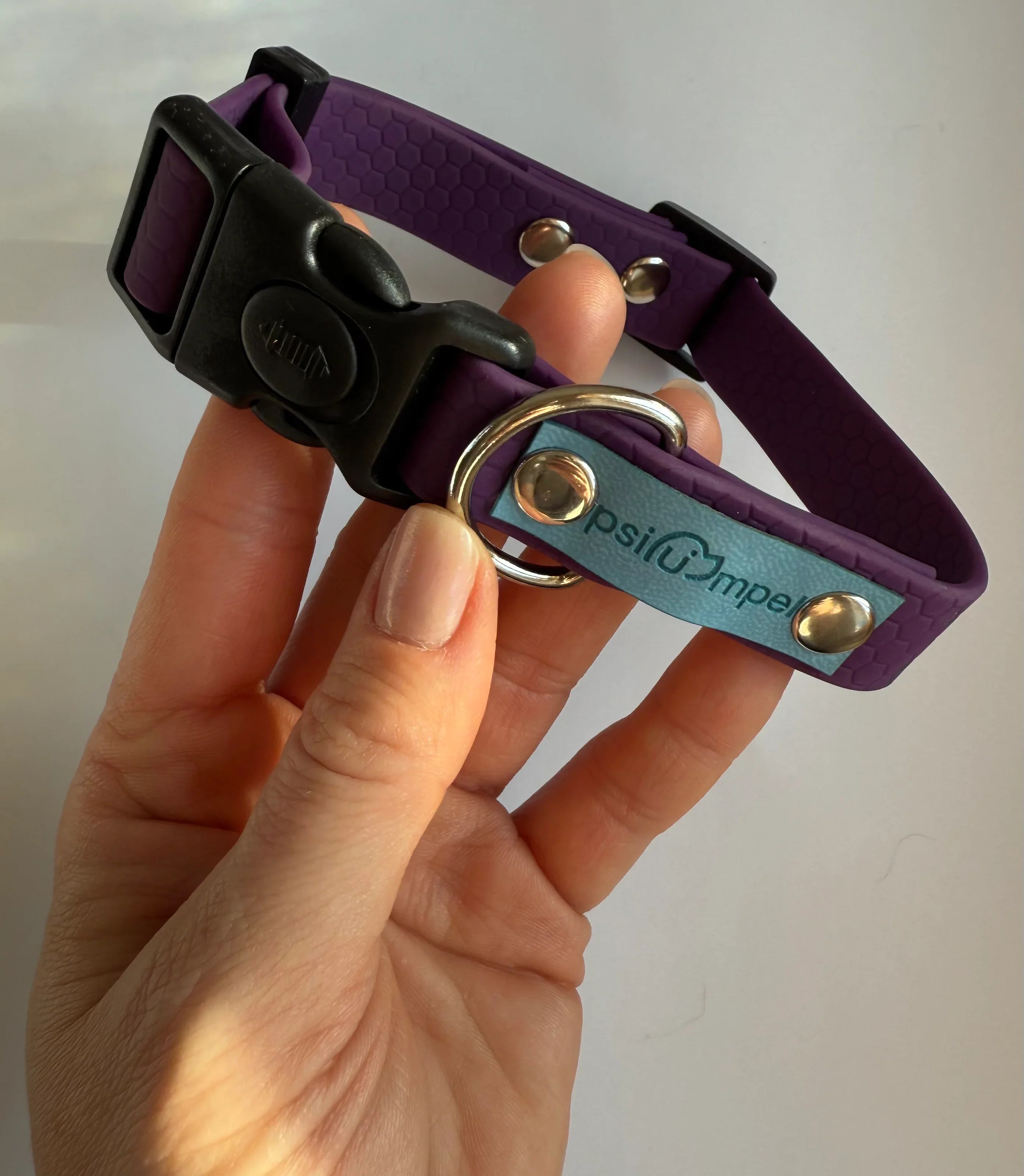 Wodoodporna obroża z klamrą Psiumpel, dla Psa i dla Ciebie, spaceruj modnie i wygodnie