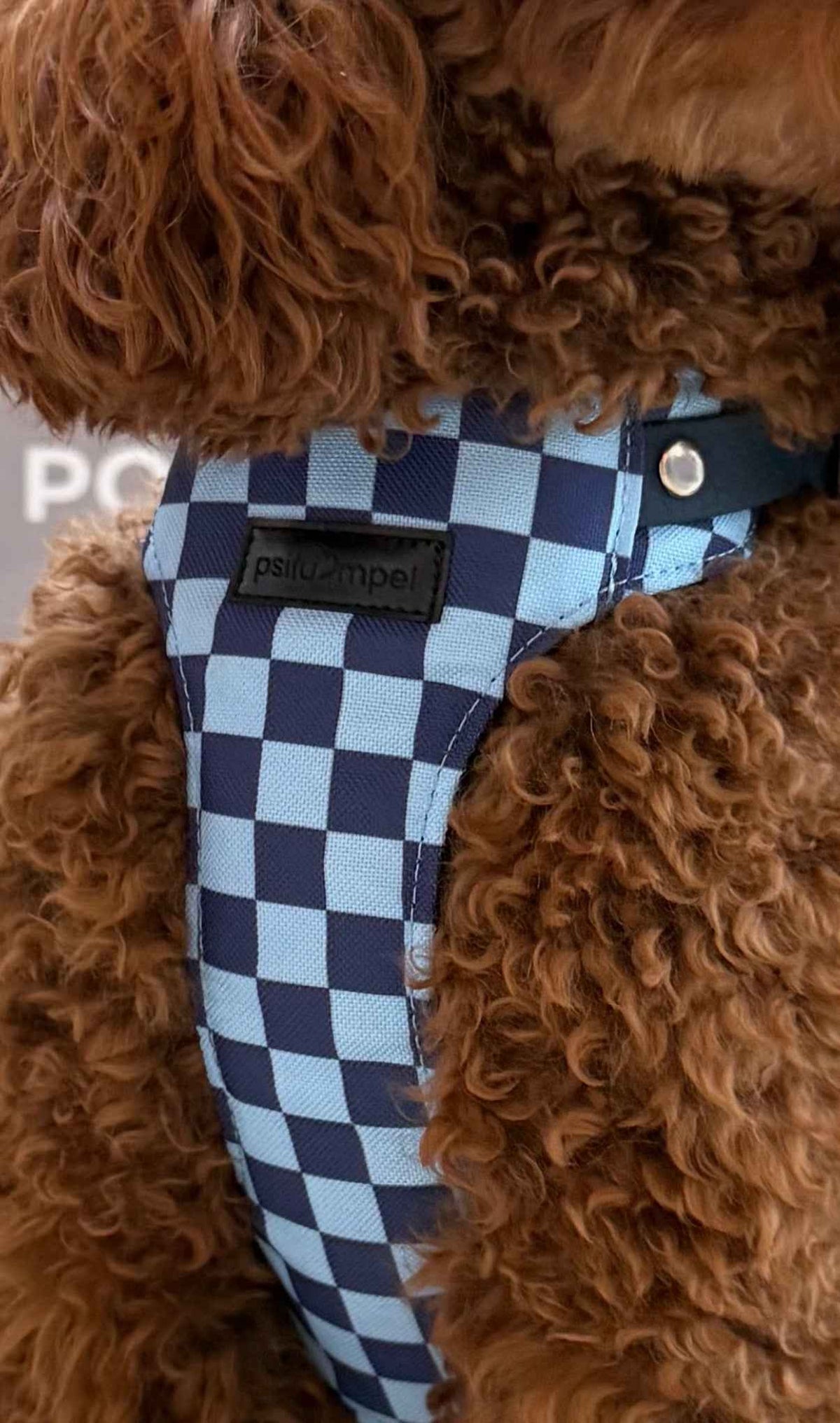 Bezuciskowe szelki guard - LET'S PLAY Psiumpel, dla Psa i dla Ciebie, spaceruj modnie i wygodnie