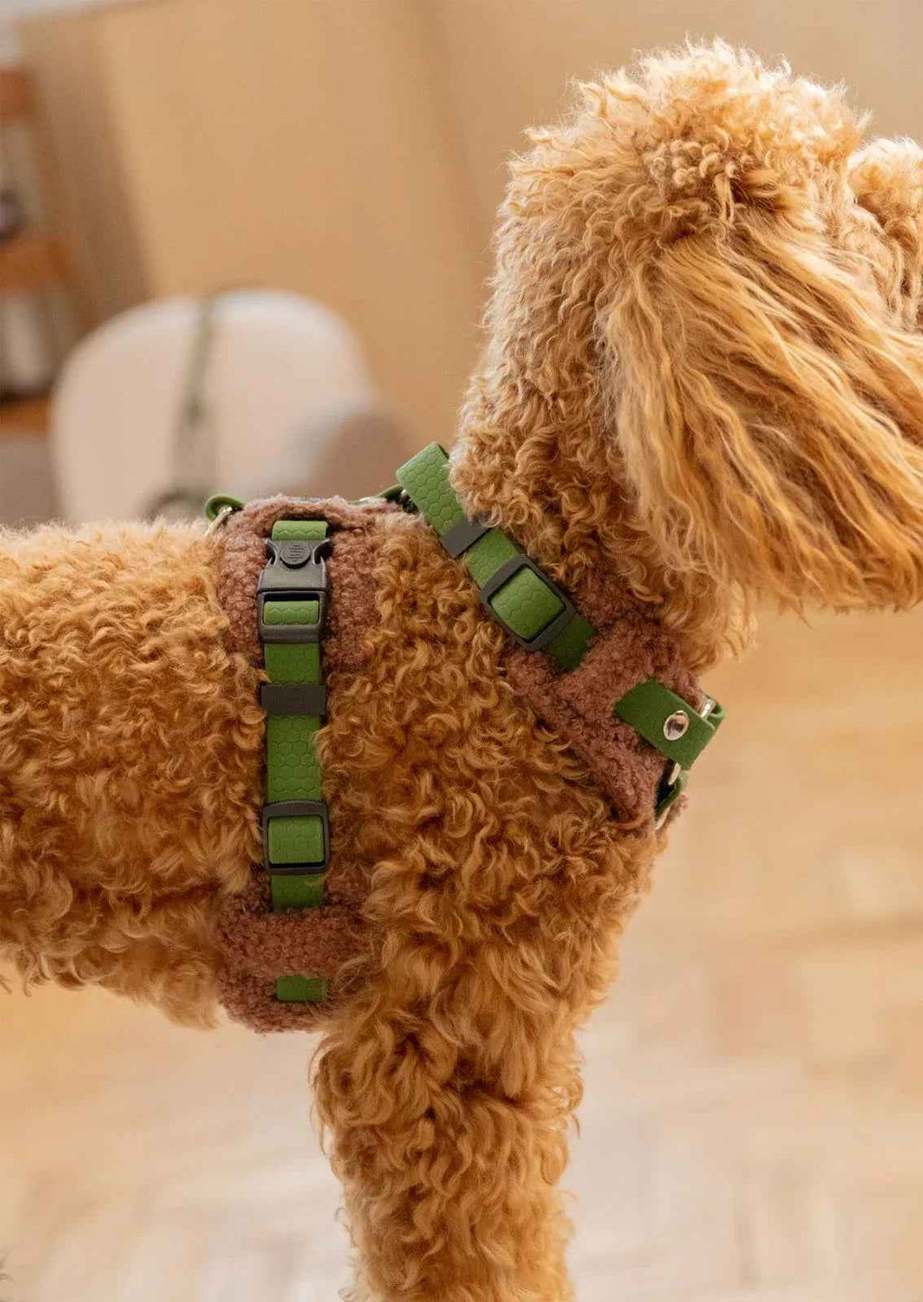 Bezuciskowe szelki guard - TEDDY Psiumpel, dla Psa i dla Ciebie, spaceruj modnie i wygodnie