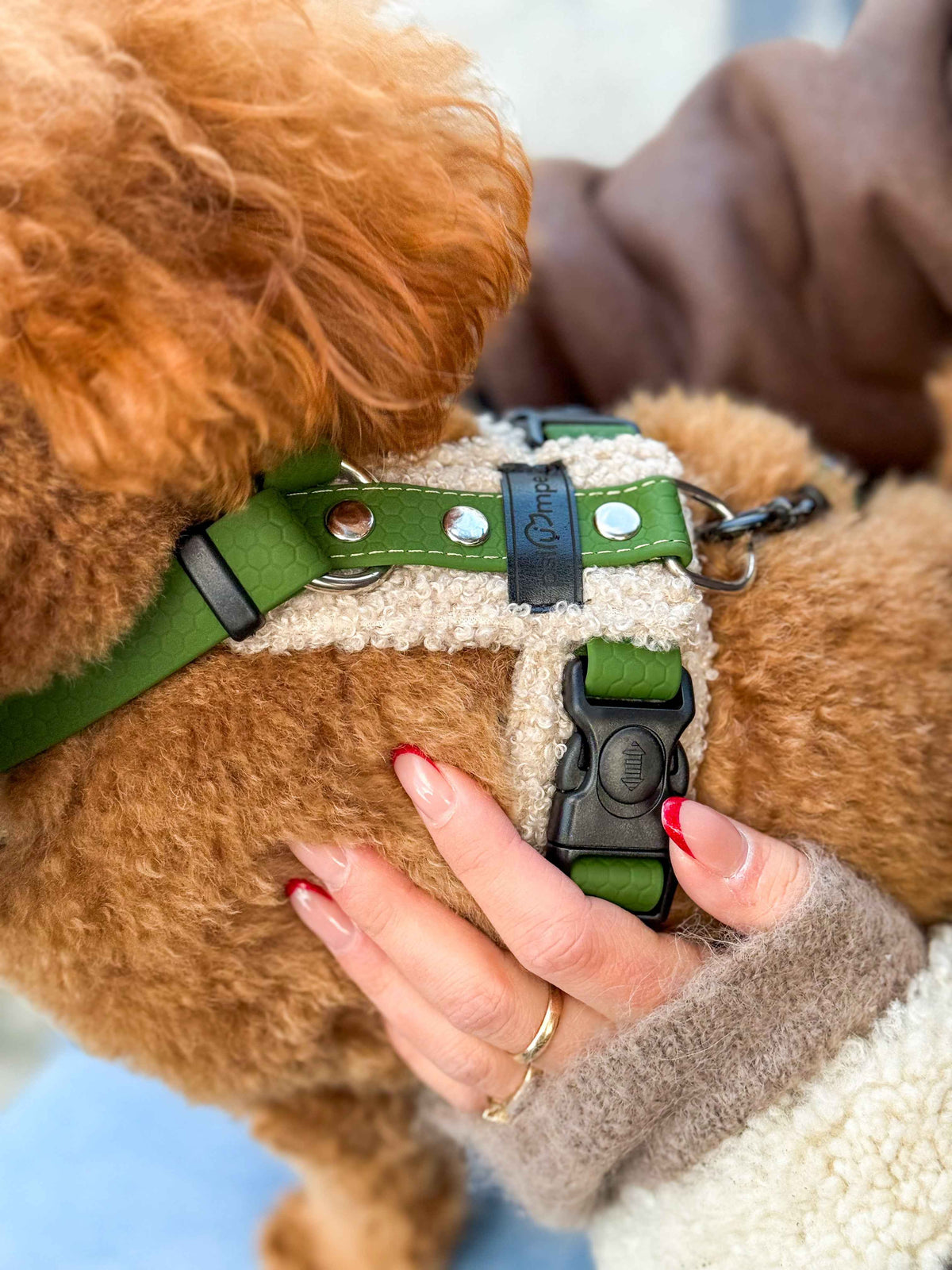 Bezuciskowe szelki guard - TEDDY Psiumpel, dla Psa i dla Ciebie, spaceruj modnie i wygodnie