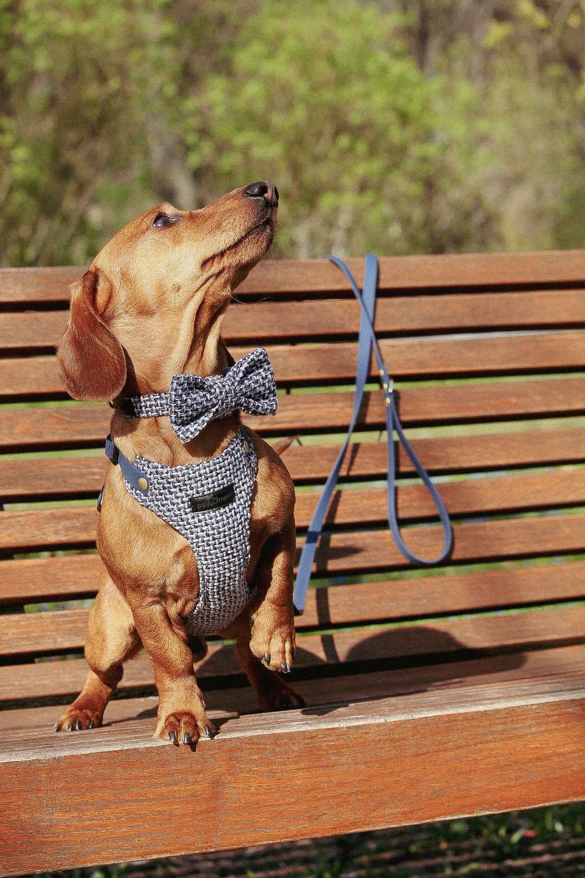 Bezuciskowe szelki guard - TWEED BLUE Psiumpel, dla Psa i dla Ciebie, spaceruj modnie i wygodnie