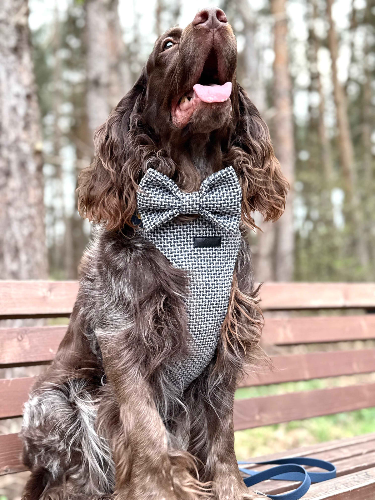 Bezuciskowe szelki guard - TWEED BLUE Psiumpel, dla Psa i dla Ciebie, spaceruj modnie i wygodnie