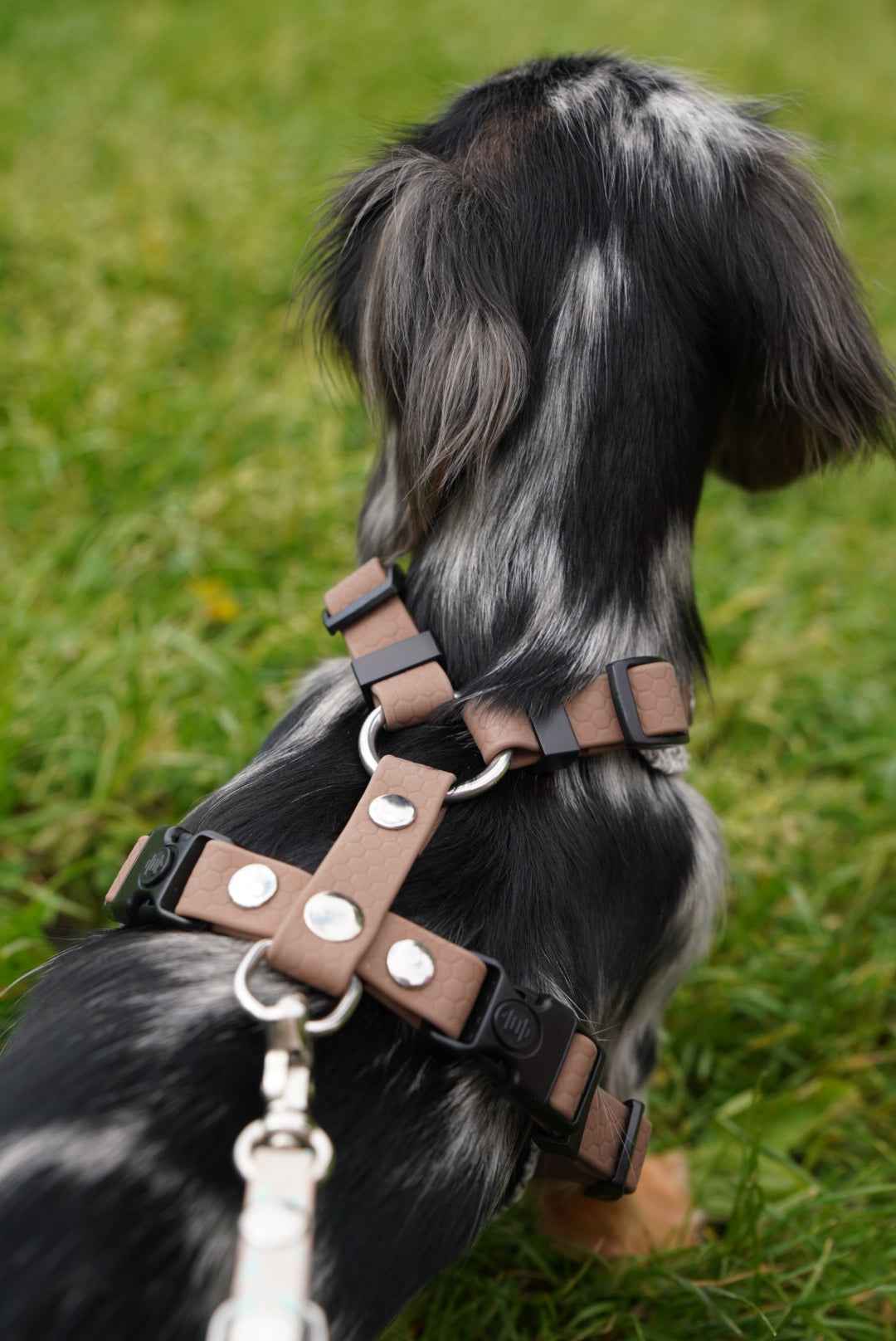 Bezuciskowe szelki guard - TWEED GREY Psiumpel, dla Psa i dla Ciebie, spaceruj modnie i wygodnie