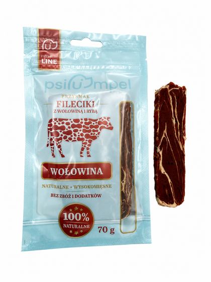 Fileciki