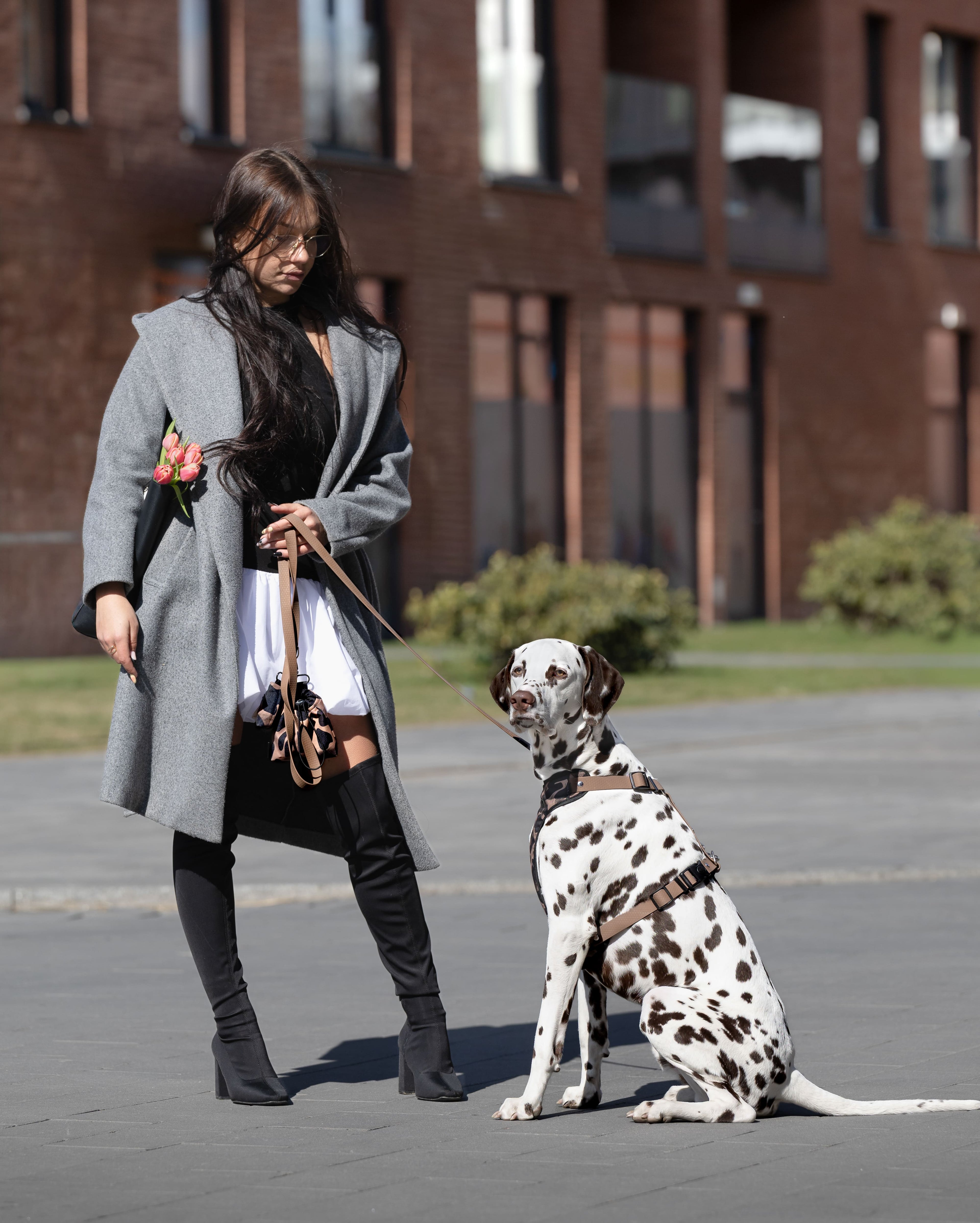 Bezuciskowe szelki guard - WILD