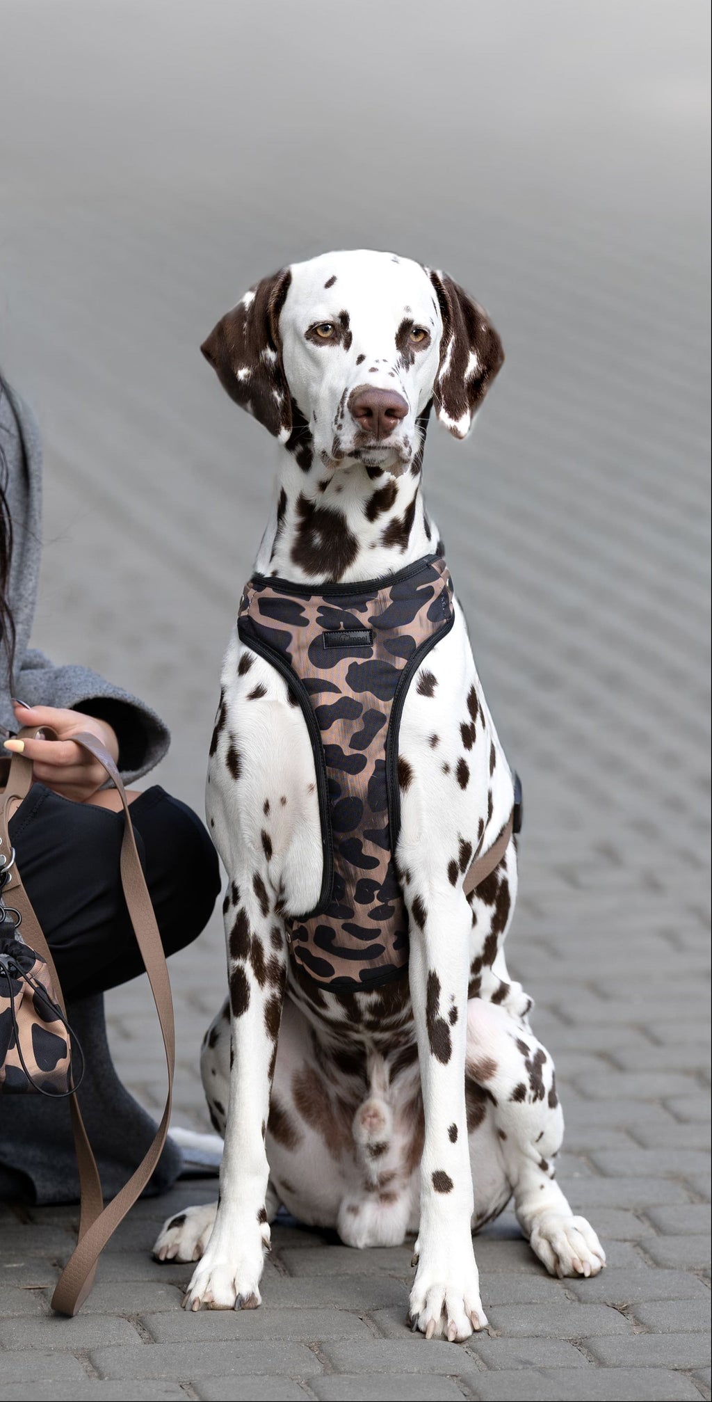 Bezuciskowe szelki guard - WILD