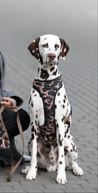 Bezuciskowe szelki guard - WILD