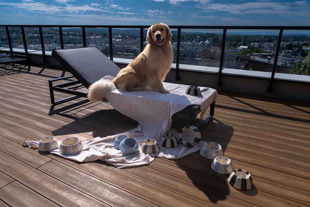 Miska ceramiczna Psiumpel, dla Psa i dla Ciebie, spaceruj modnie i wygodnie