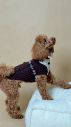 Sweter MERINO