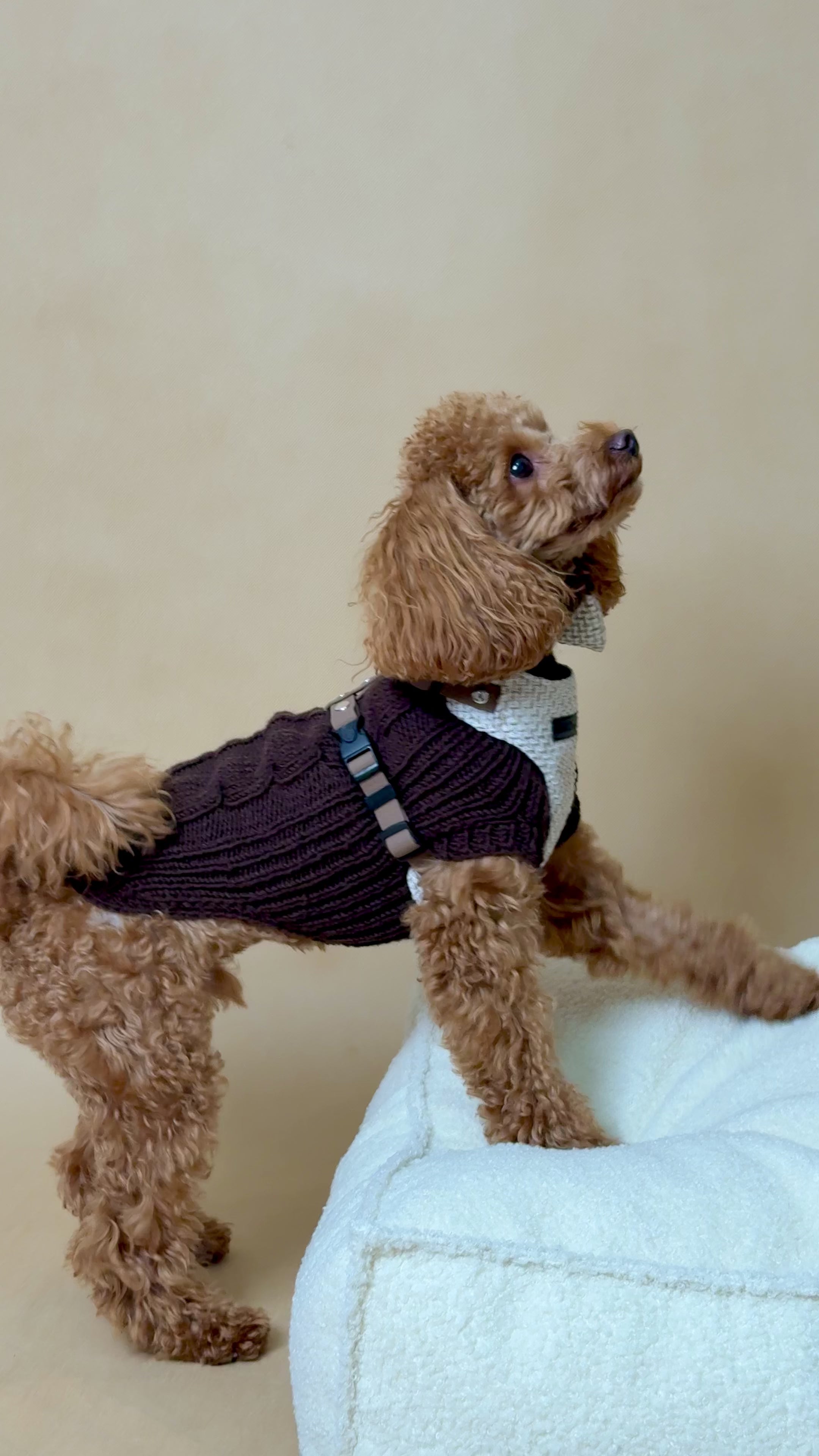 Sweter MERINO