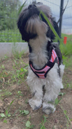 Bezuciskowe szelki kamizelkowe dla psów małych ras