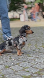 Bezuciskowe szelki guard - TWEED GREY