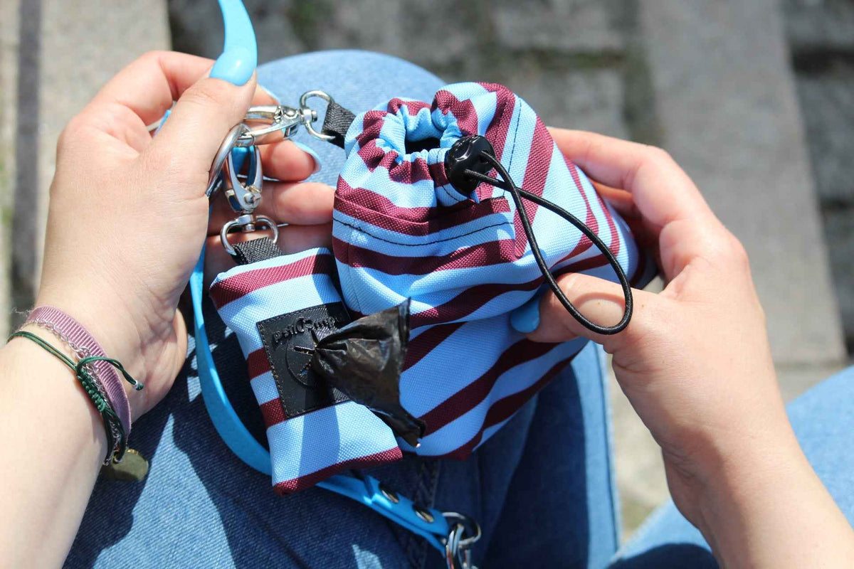 Saszetka na smaczki SUMMER LINES Psiumpel, dla Psa i dla Ciebie, spaceruj modnie i wygodnie