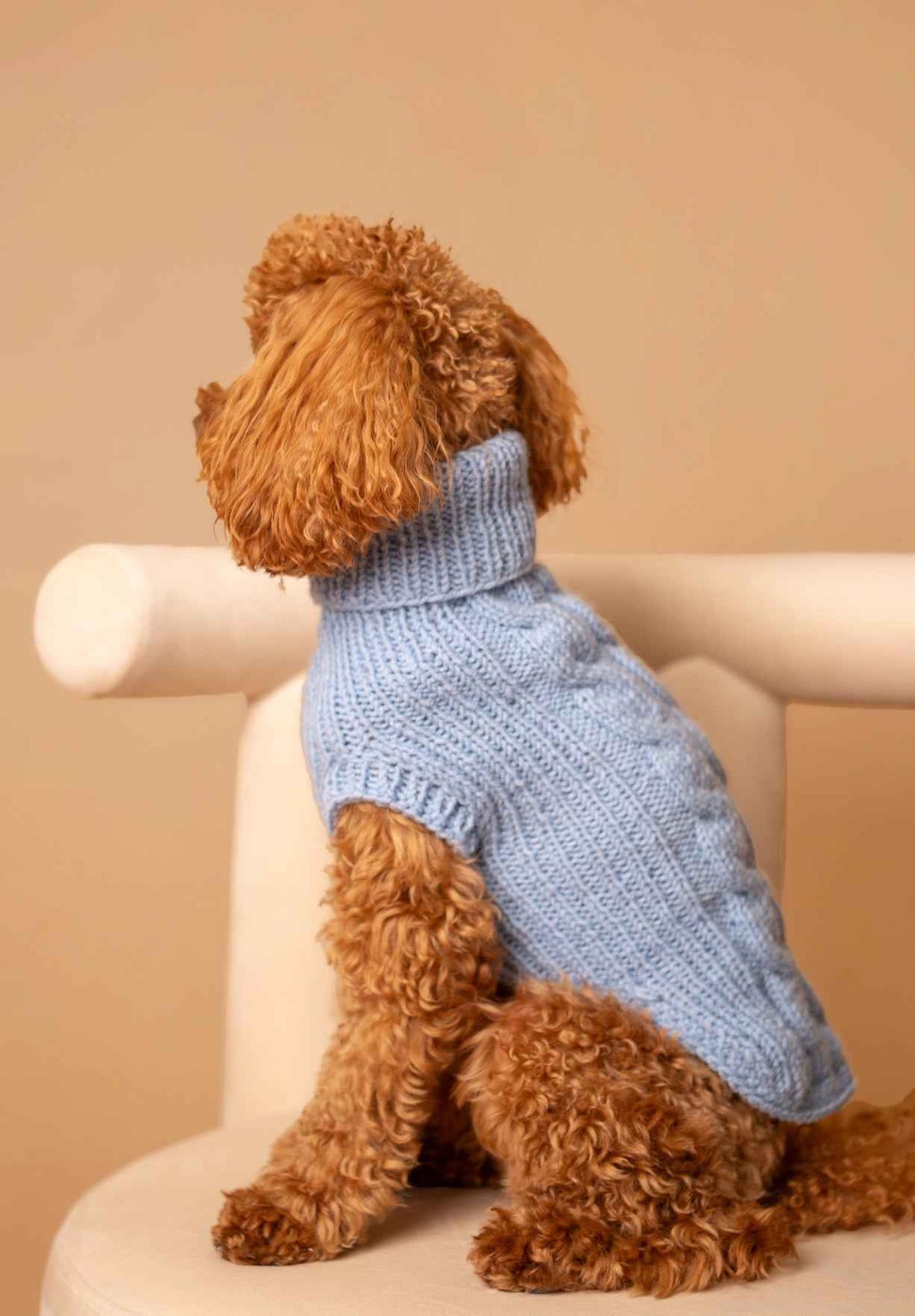 Sweter MERINO Psiumpel, dla Psa i dla Ciebie, spaceruj modnie i wygodnie