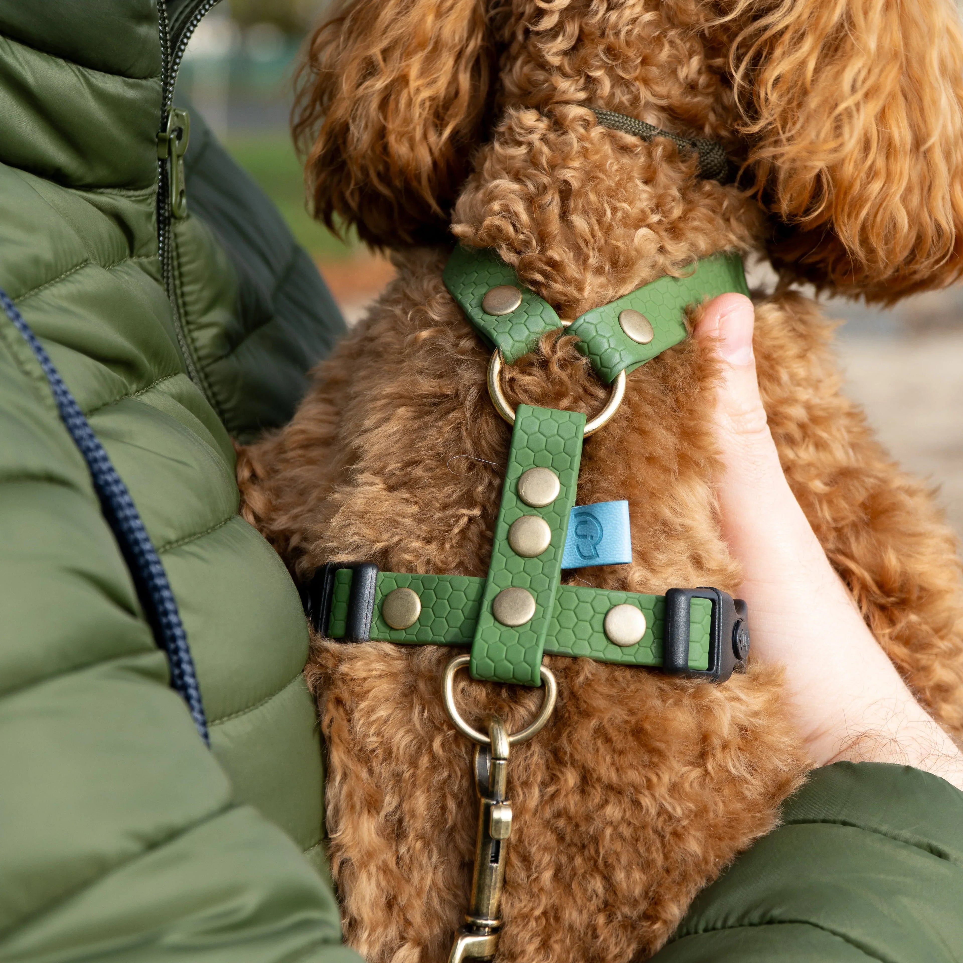 Wodoodporne szelki guard Psiumpel, dla Psa i dla Ciebie, spaceruj modnie i wygodnie